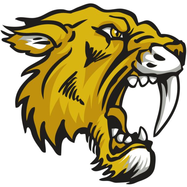 AR30 SABER 03 RQC Thumbnail